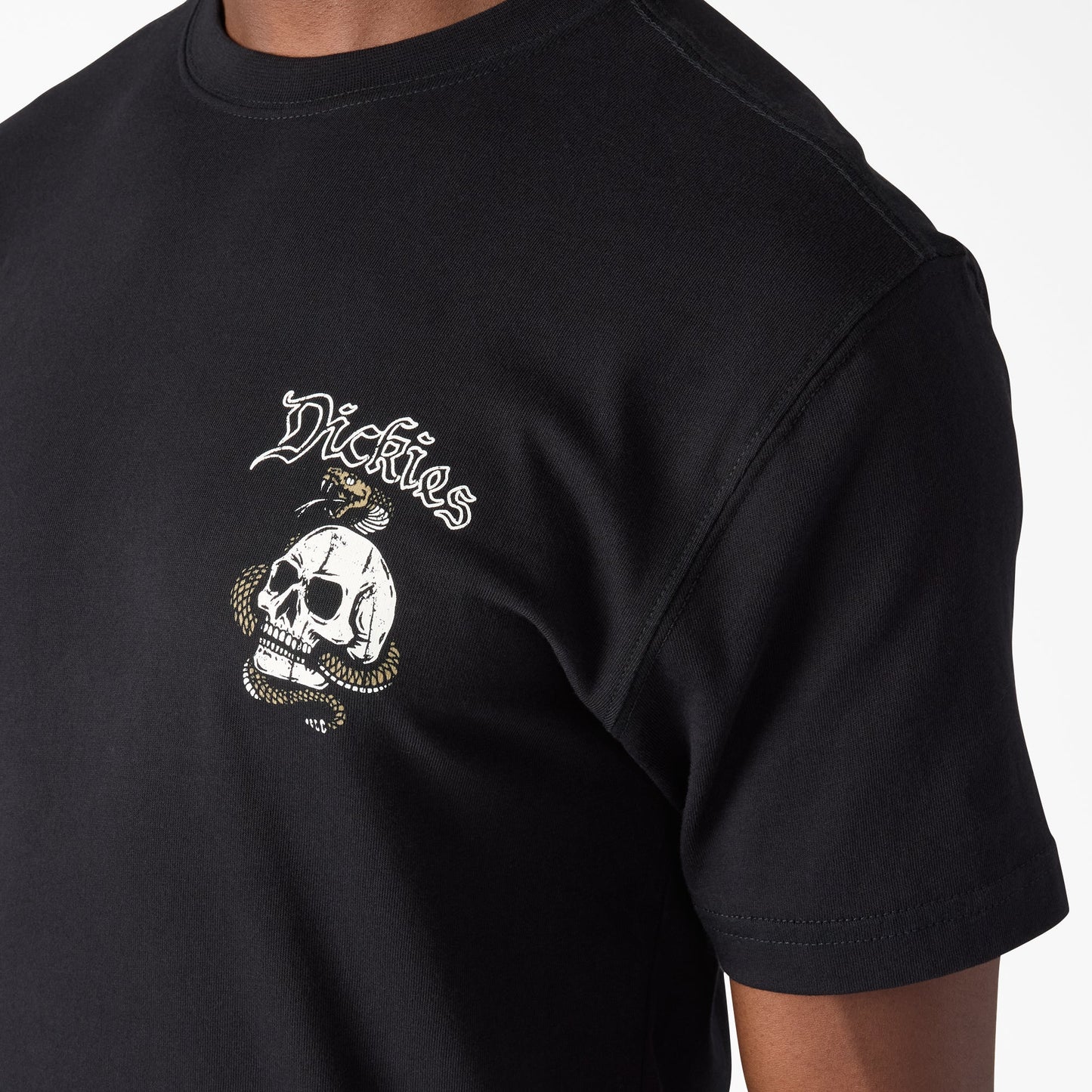 Rattler Graphic T-Shirt Dickies Men|Sale