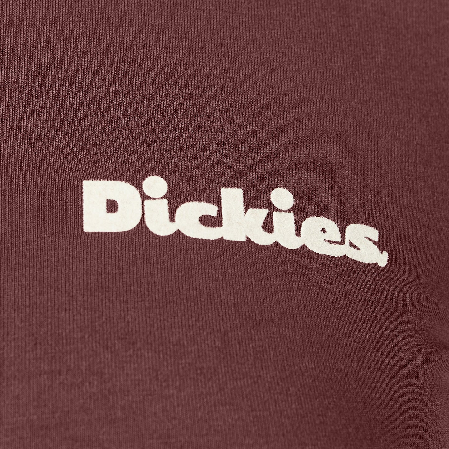 Women’s Slayden Ringer Tee Dickies Women