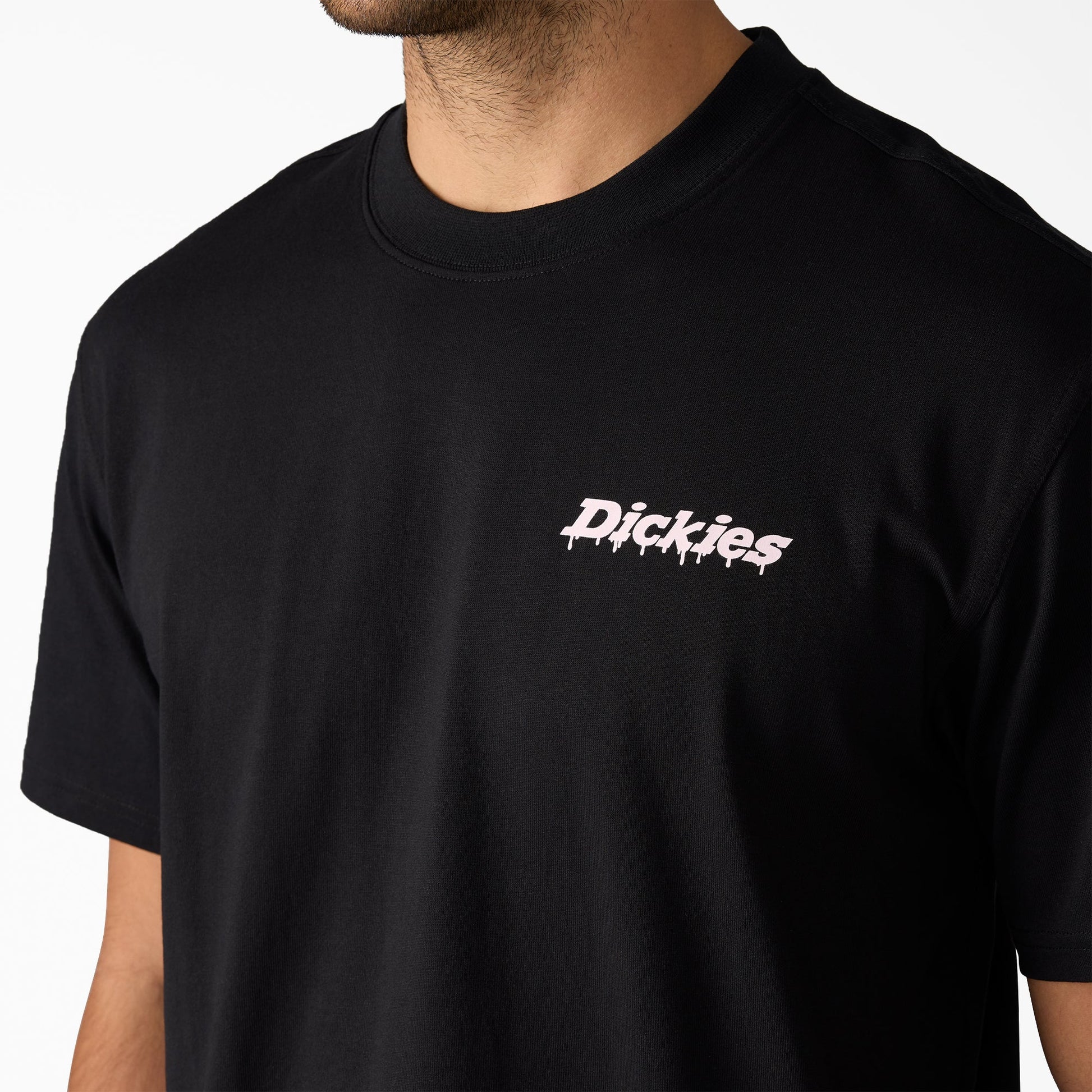 Statesville Graphic T-Shirt Dickies Men|Sale
