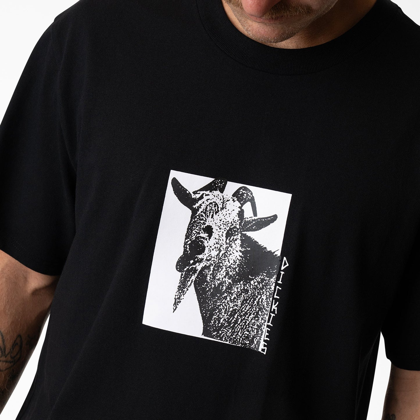 Mike Anderson Graphic T-Shirt Dickies Men