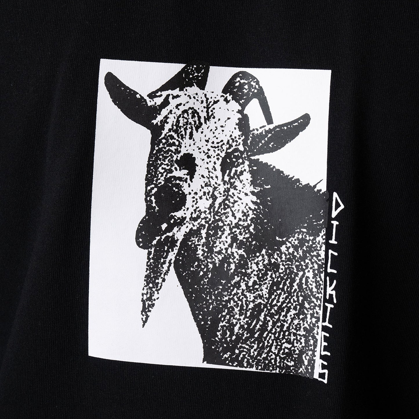 Mike Anderson Graphic T-Shirt Dickies Men