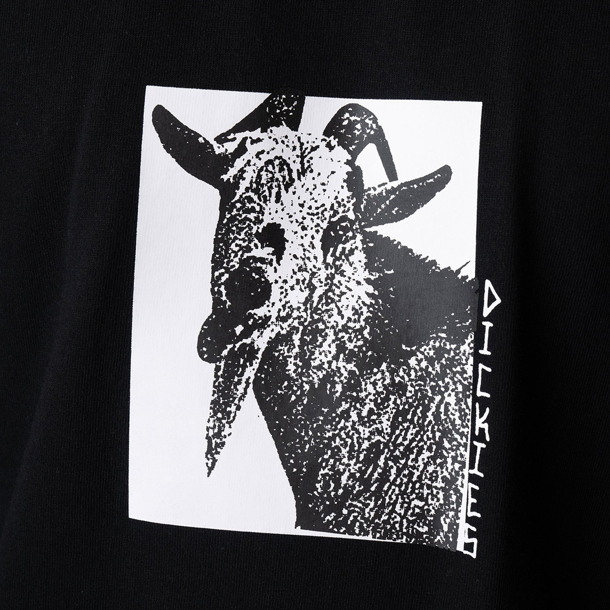 Mike Anderson Graphic T-Shirt Dickies Men