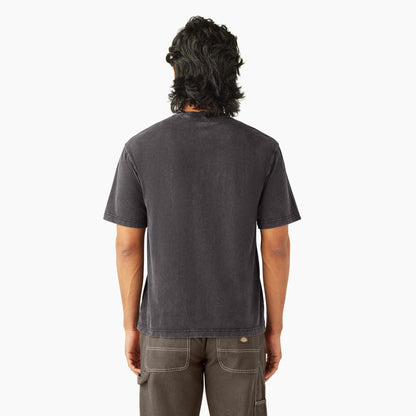 Plentywood Short Sleeve T-Shirt Dickies Men|Sale