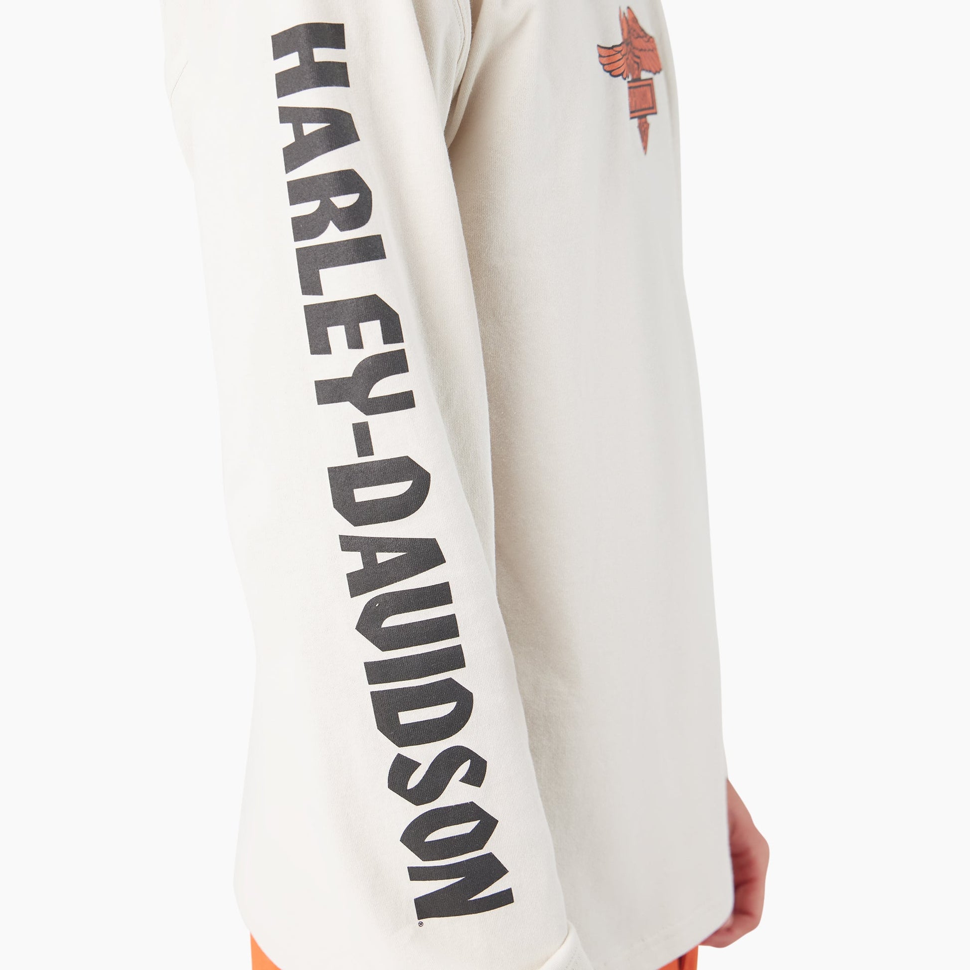 Dickies x Harley-Davidson Heavyweight Long Sleeve Eagle Tee Dickies Men