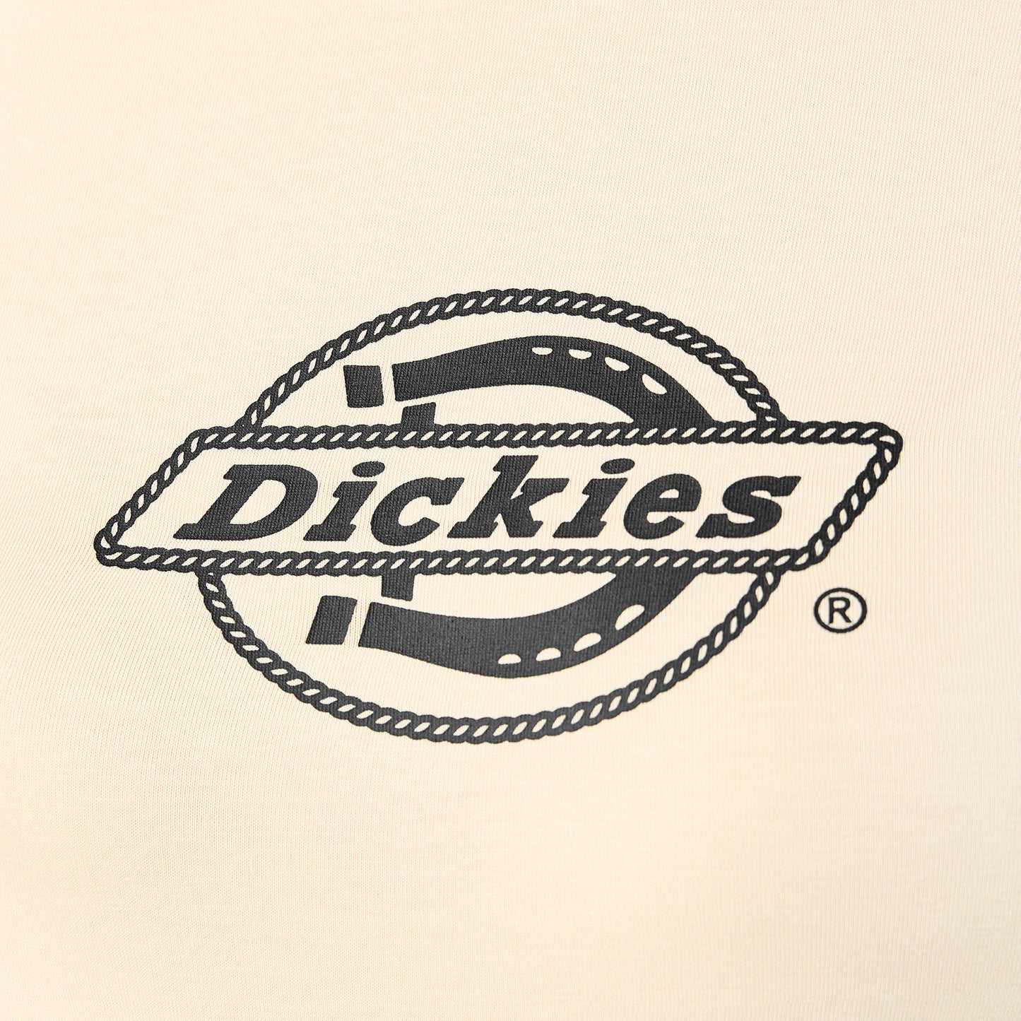 Women's Fort Shaw Raglan T-Shirt Dickies Women|Sale