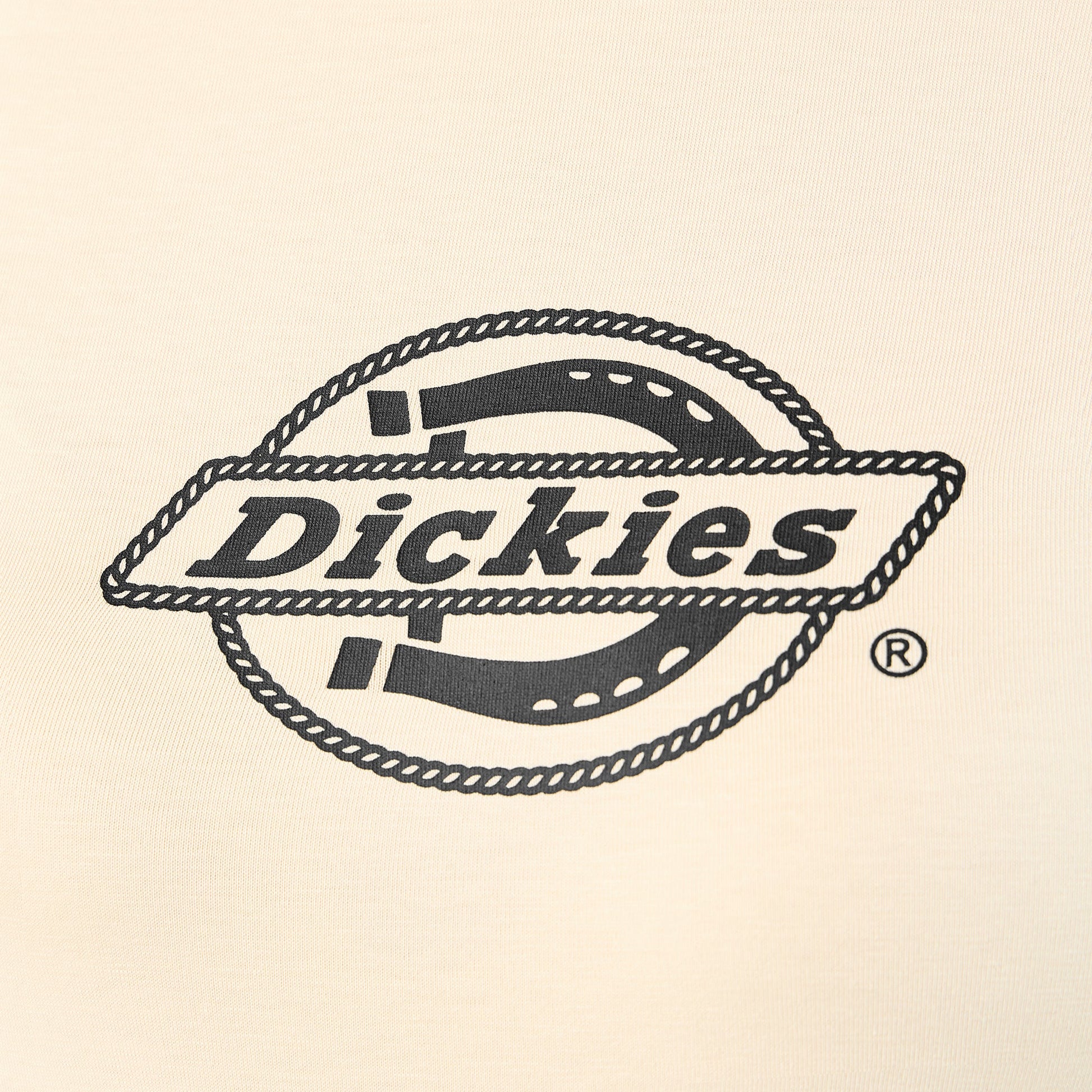 Women's Fort Shaw Raglan T-Shirt Dickies Women|Sale