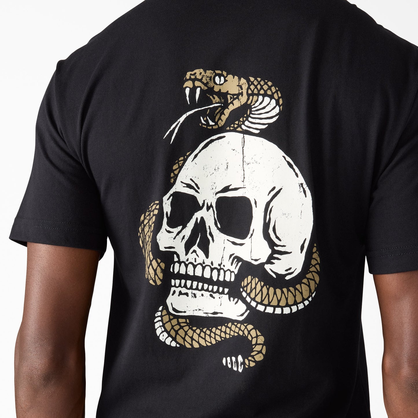 Rattler Graphic T-Shirt Dickies Men|Sale