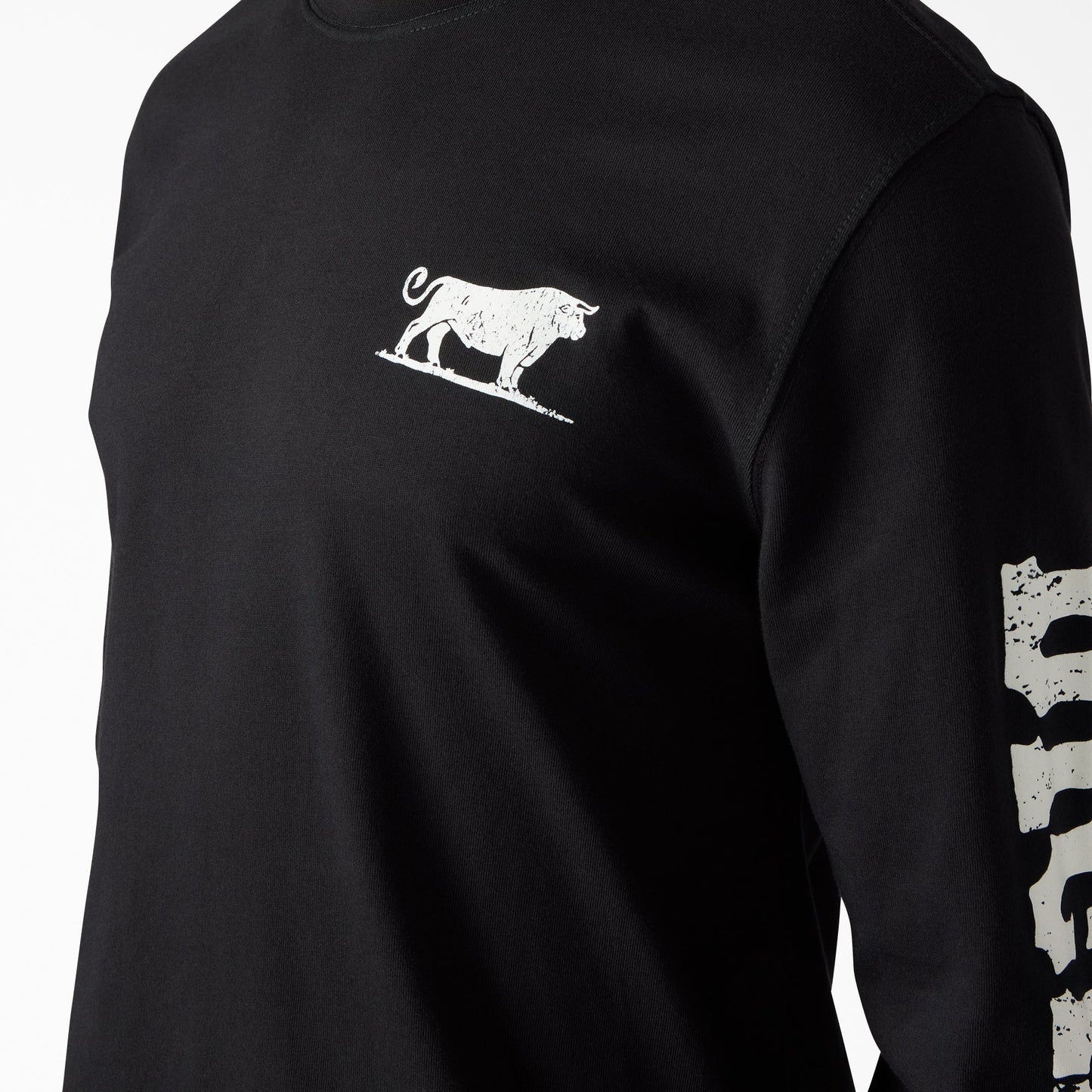 Headstrong Long Sleeve Graphic T-Shirt Dickies Men