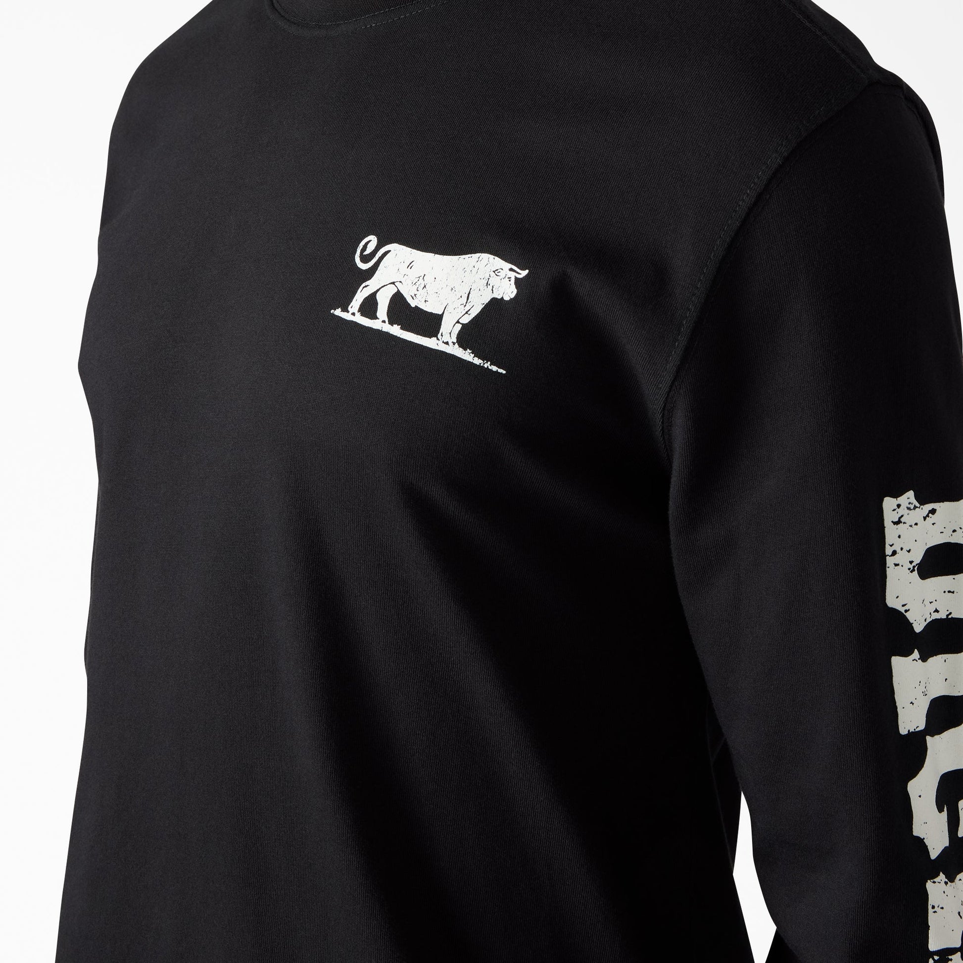 Headstrong Long Sleeve Graphic T-Shirt Dickies Men
